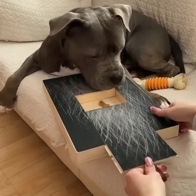 Dog Scratch Board 4