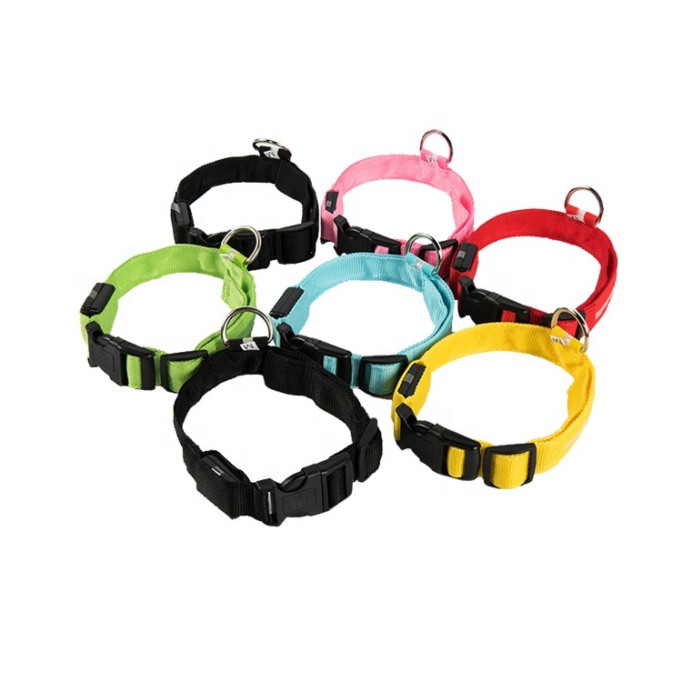 Night Safety Battery LED Pet Collar 2