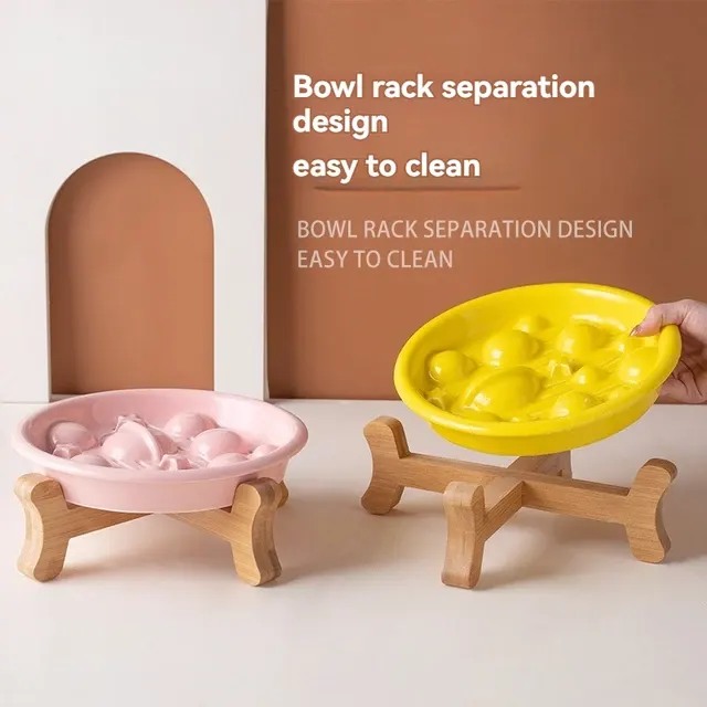 Ceramic Dog Bowl 2
