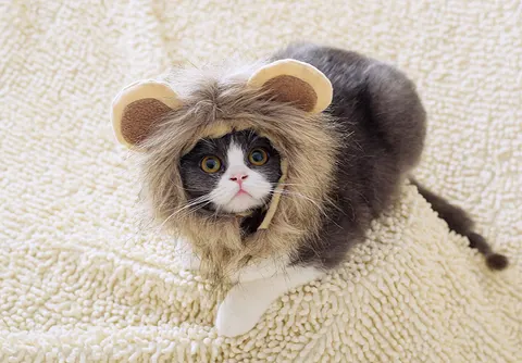 Animal Costume Headwear