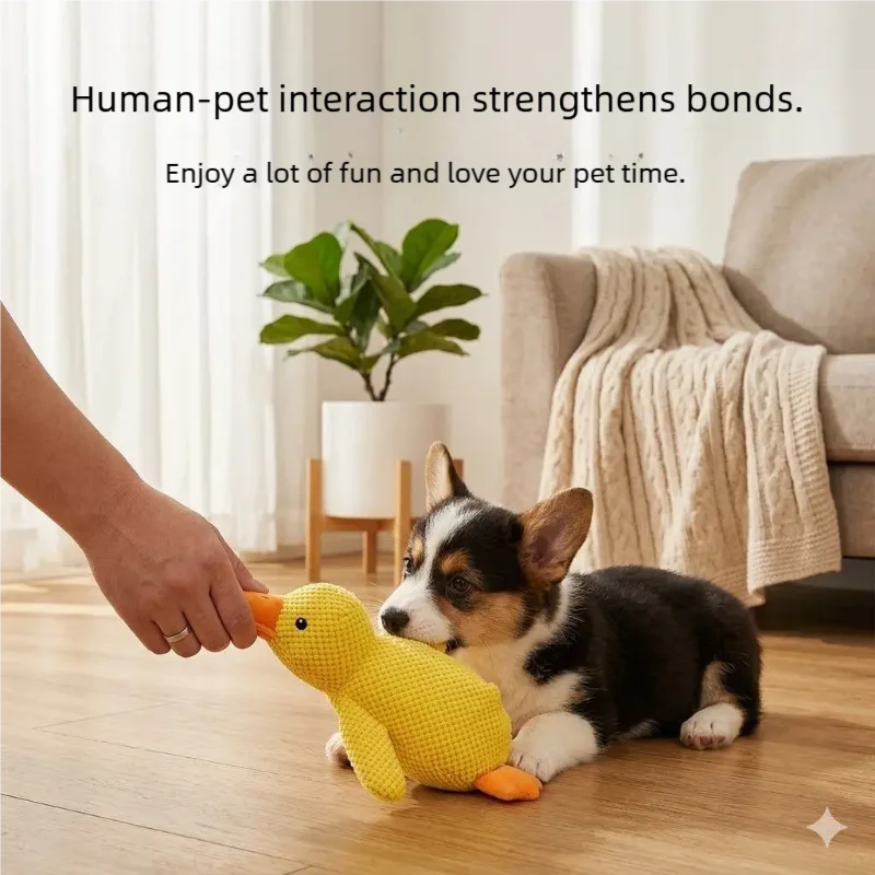 Plüsch-Quietscheente für Hunde 2