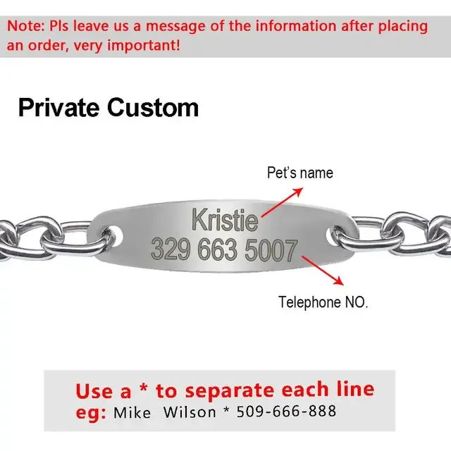 Personalized Dog Collar 3