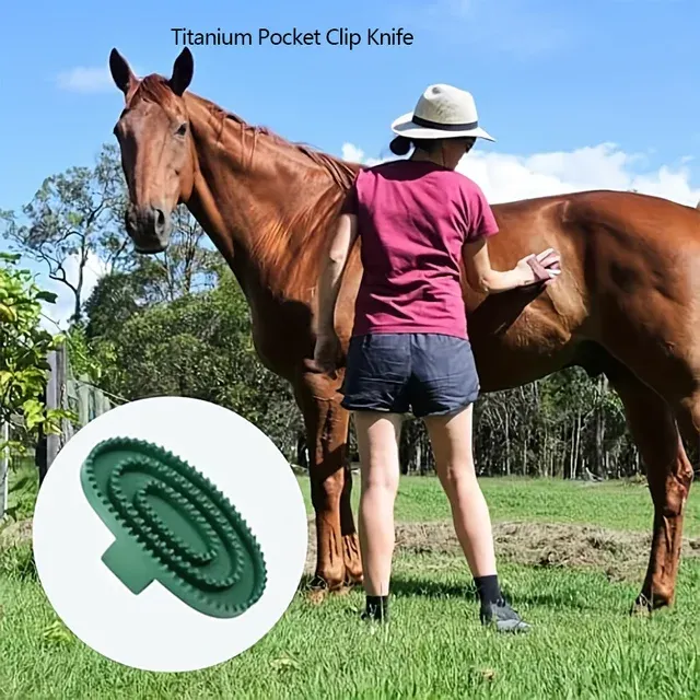 Horse Grooming Brush 4