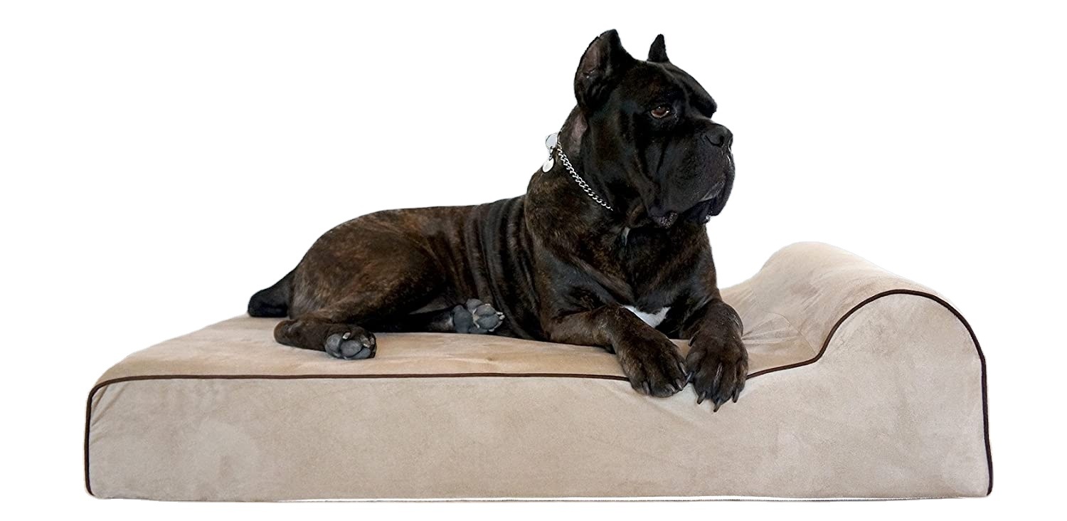 Orthopädisches Memory-Foam Hundesofa XL 3