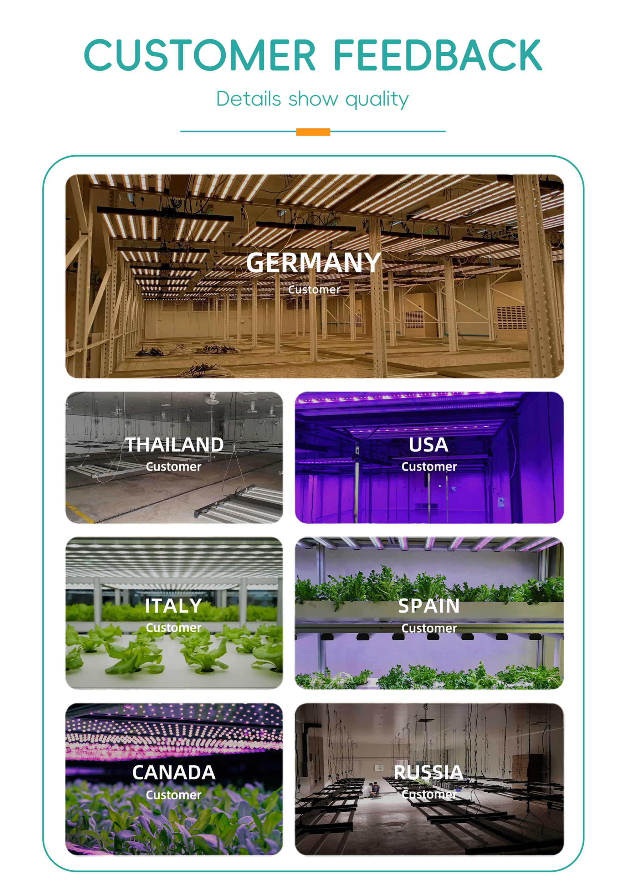 18W Red Blue T8 LED Plant Grow Tube 3