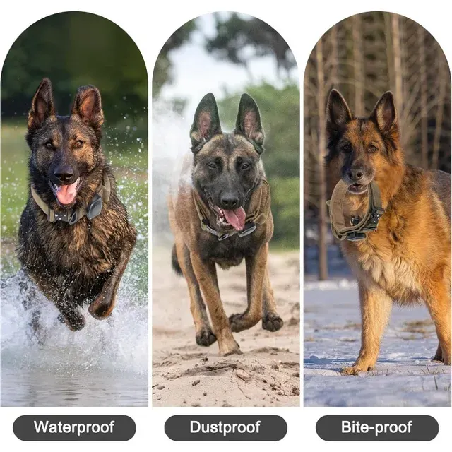 Tactical Dog Collar 4