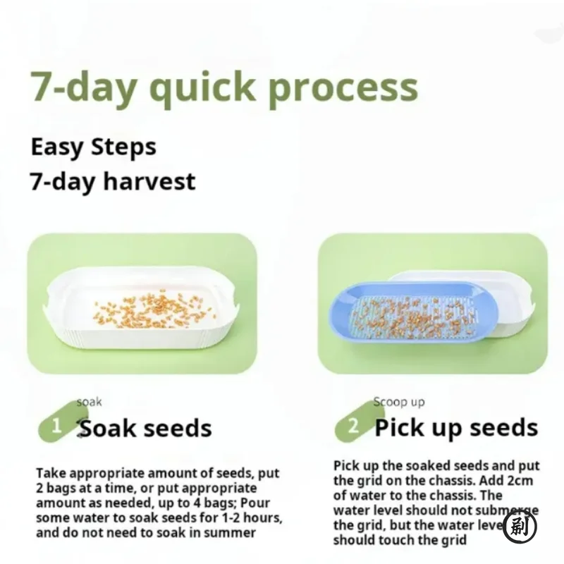 Hydroponic Soil-Free Cat Grass Growing Kit