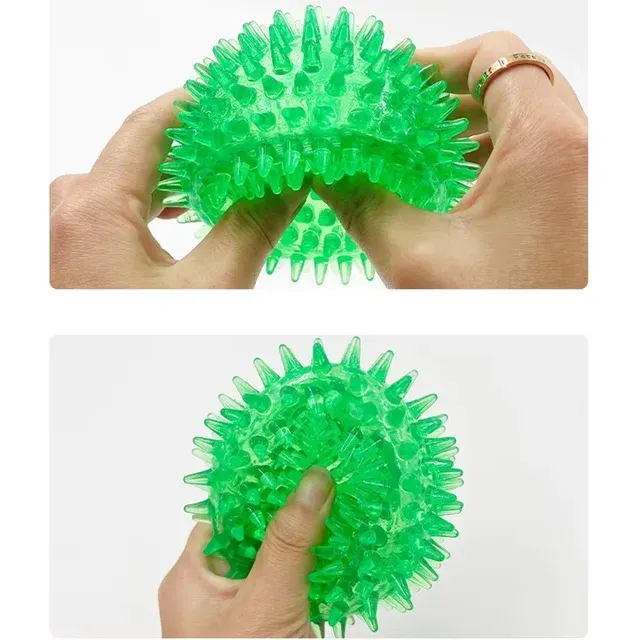 Squeaky TPR Spiky Ball for Dogs 4