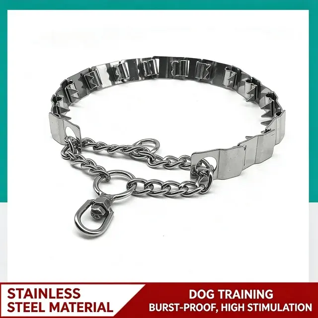 Dog Training Chain Collar 2