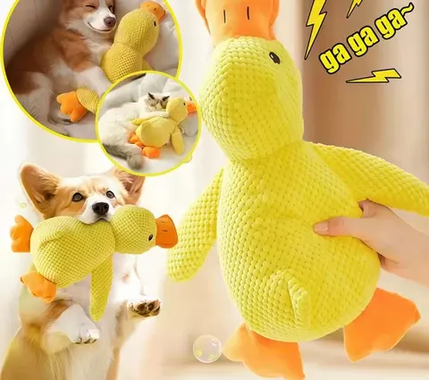 Plush Duck Dog Toy