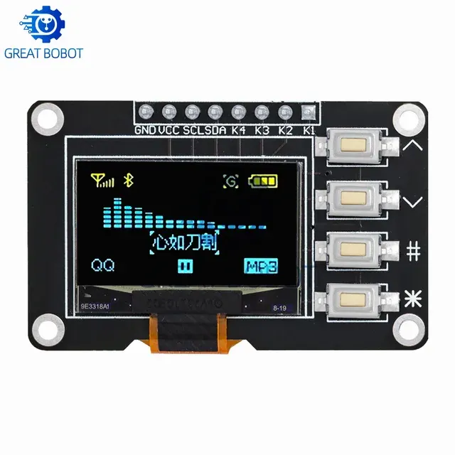 OLED Display Module 4