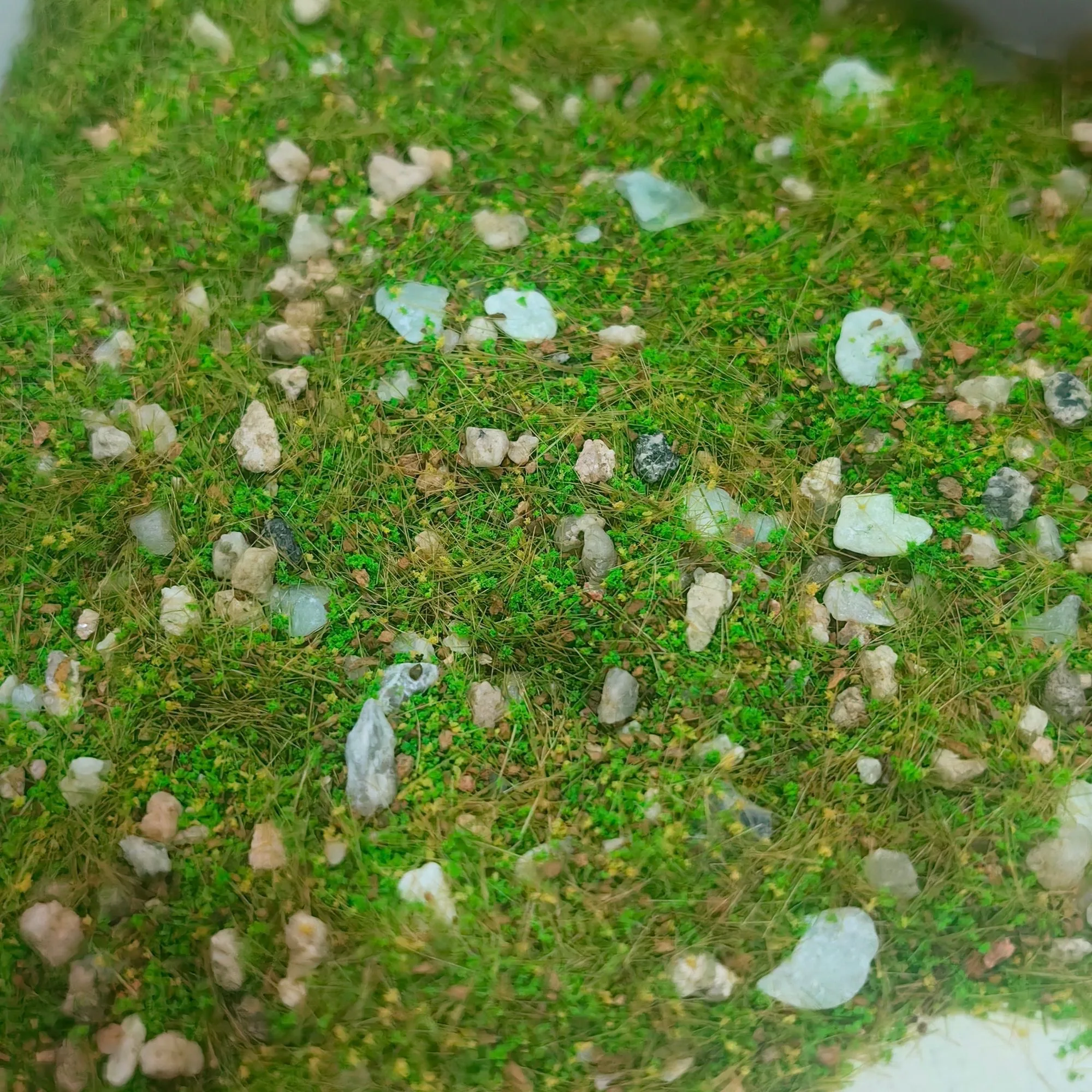 Miniatur Gras Pulver Unkraut Boden Mix Stein Modell 3