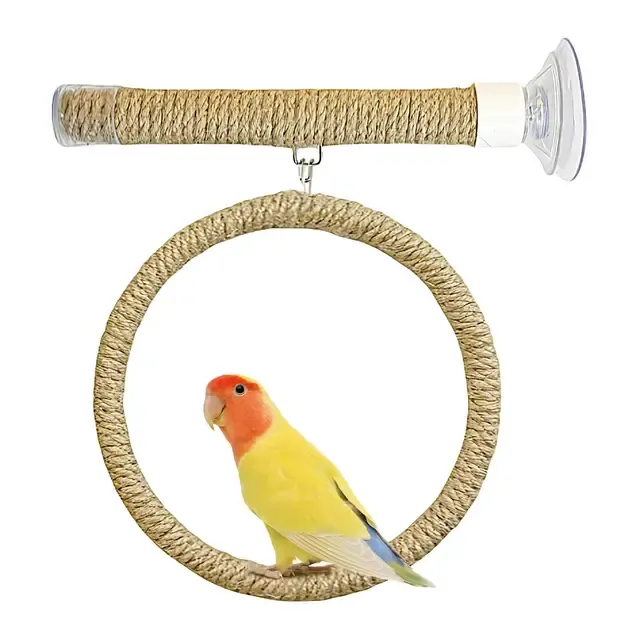 bird swing toy 3