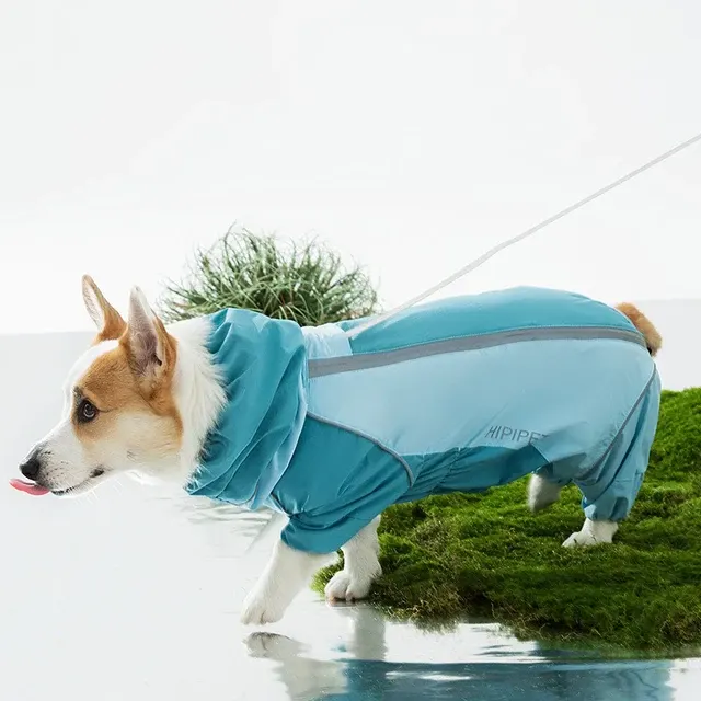 Dog Rain Coat 3