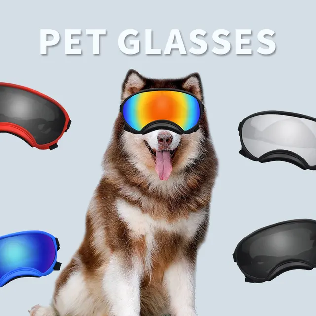 Dog Protective Goggles 1