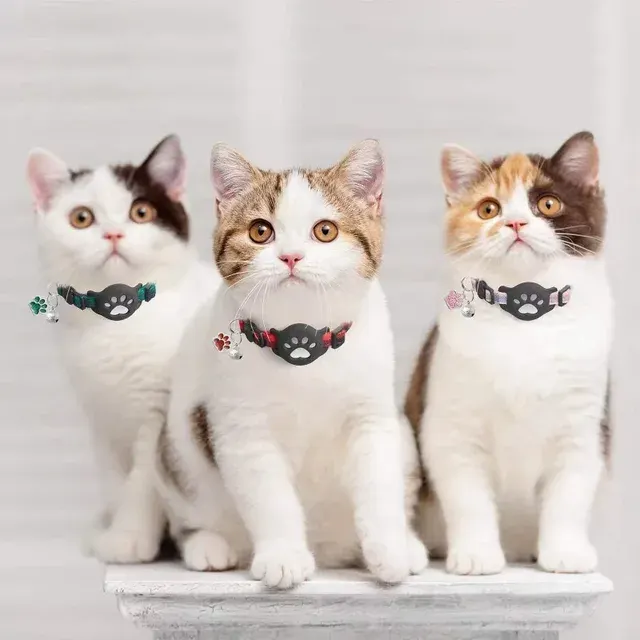 Pet Collar 3
