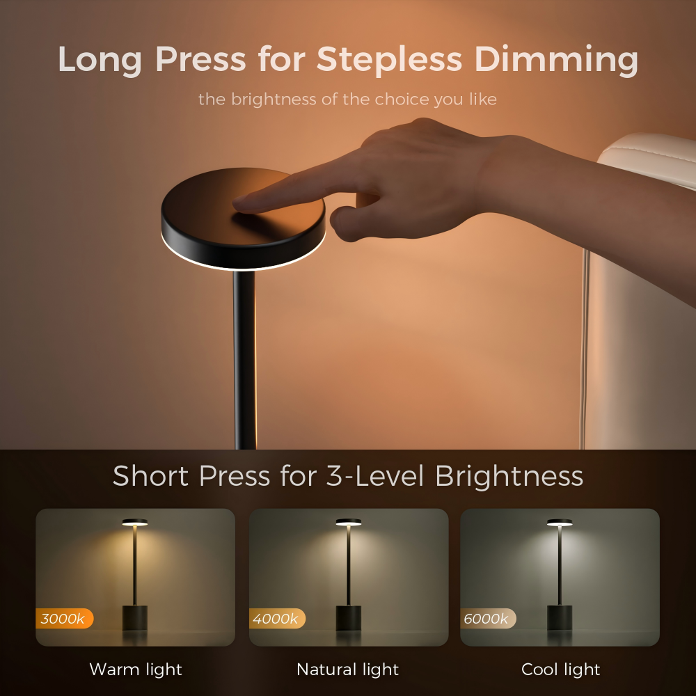 Portable Metal LED Cordless Desk Lamp Stepless Dimming 2