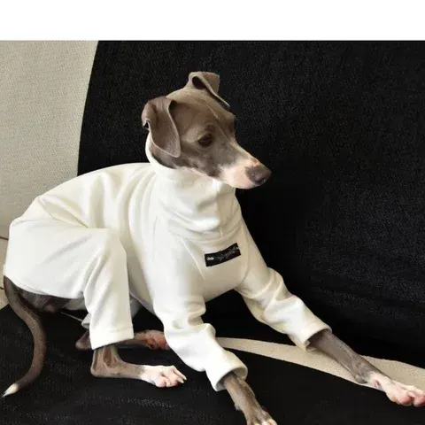 Dog Sweater