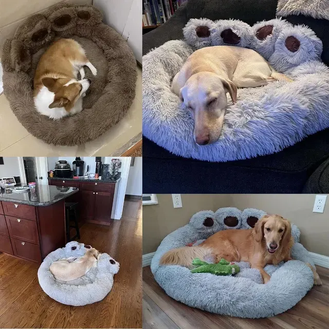 Pet Bed 4