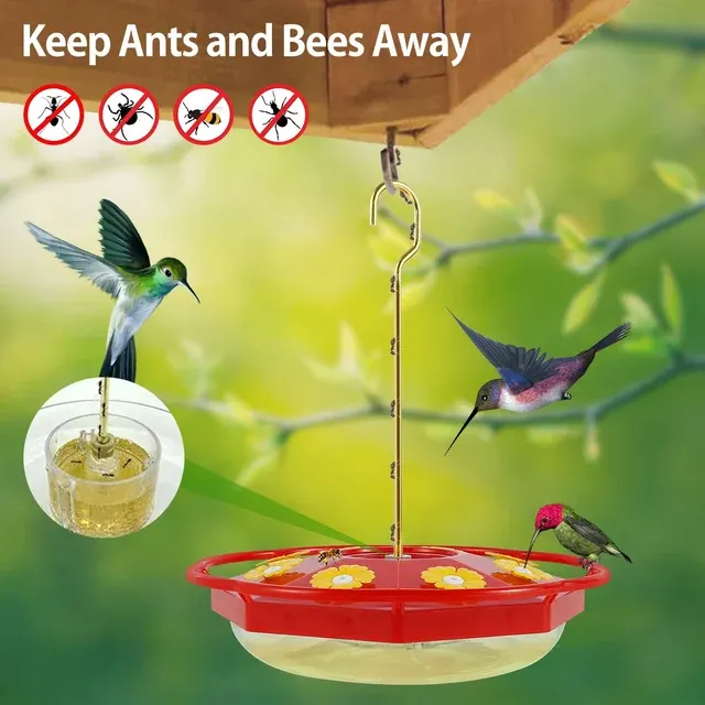 Hummingbird Feeder 2