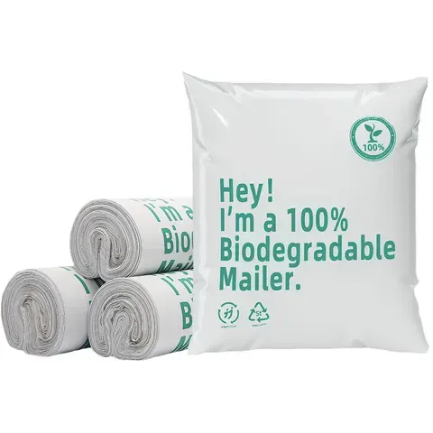 Compostable Express Mailing Bag