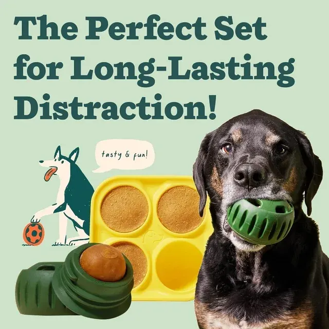 Dog Chew Toy 2