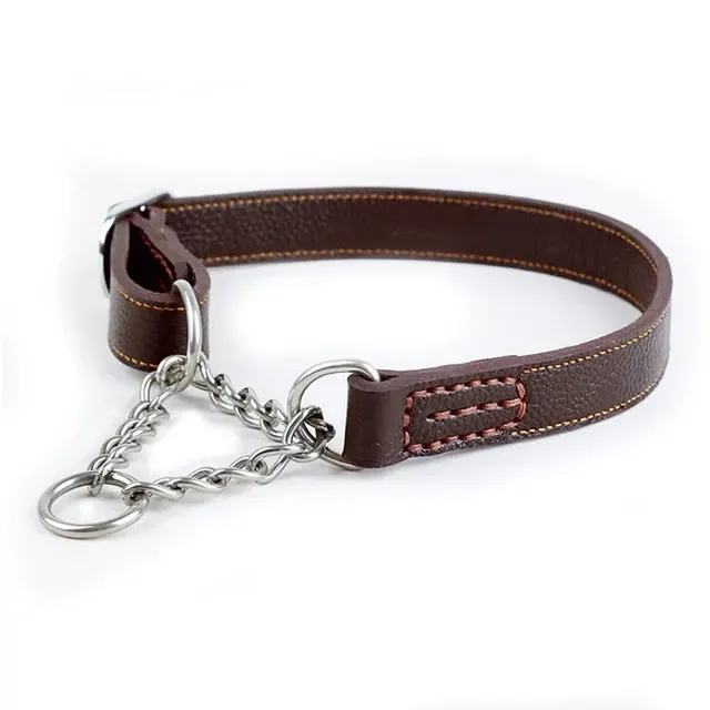 Martingale Dog Collar 4