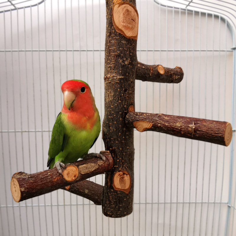 Pet Parrot Solid Wood Bird Stand Toy 2