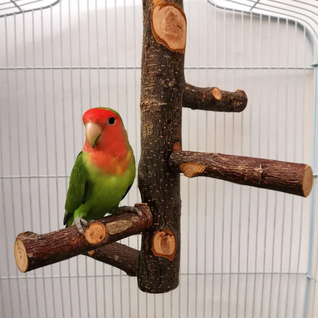 Holz-Sitzstange Vogelspielzeug 2