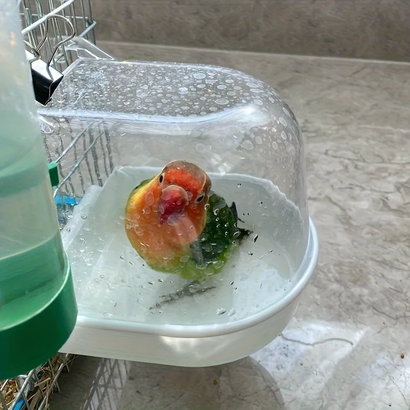 Clear Bird Bath with Splash Guard 3