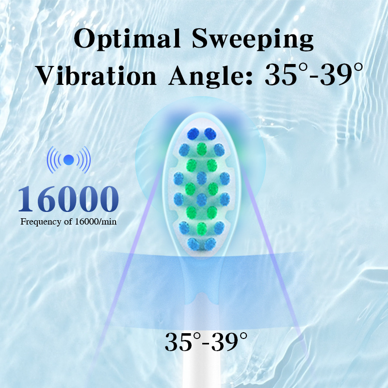 IPX7 3 Modes Sonic Vibration Electric Toothbrush 2