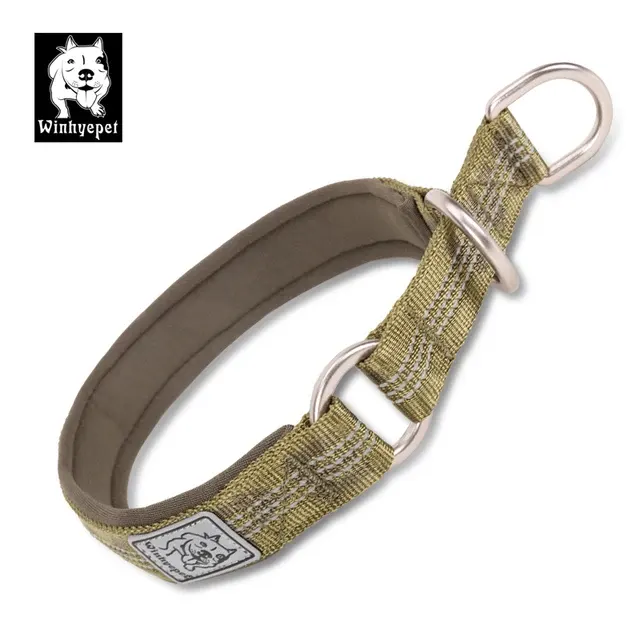 Hunde-Trainingshalsband 2