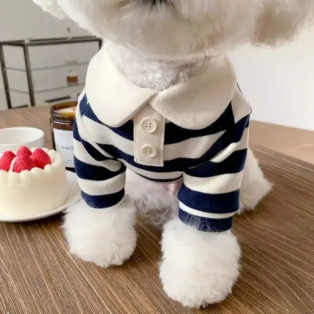 Dog Shirt 1