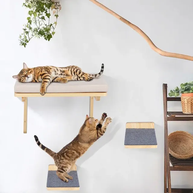 Katzen-Kletterwand 3