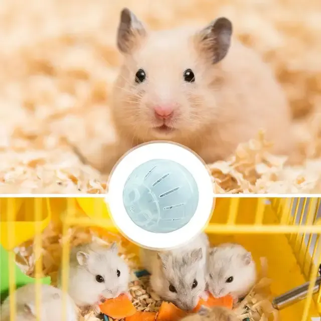 Hamster Ball 4