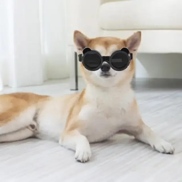 Hunde-Sonnenbrille 3