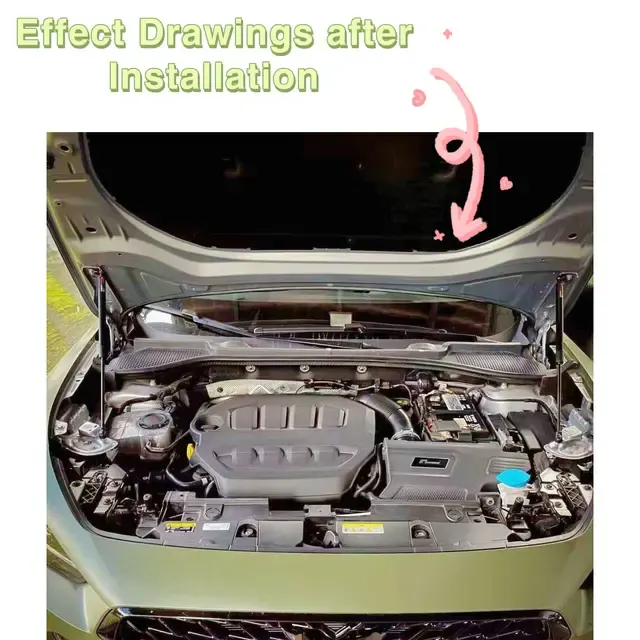 Hood Gas Strut 3