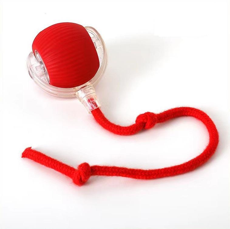 Interactive Motion Pet Ball Toy