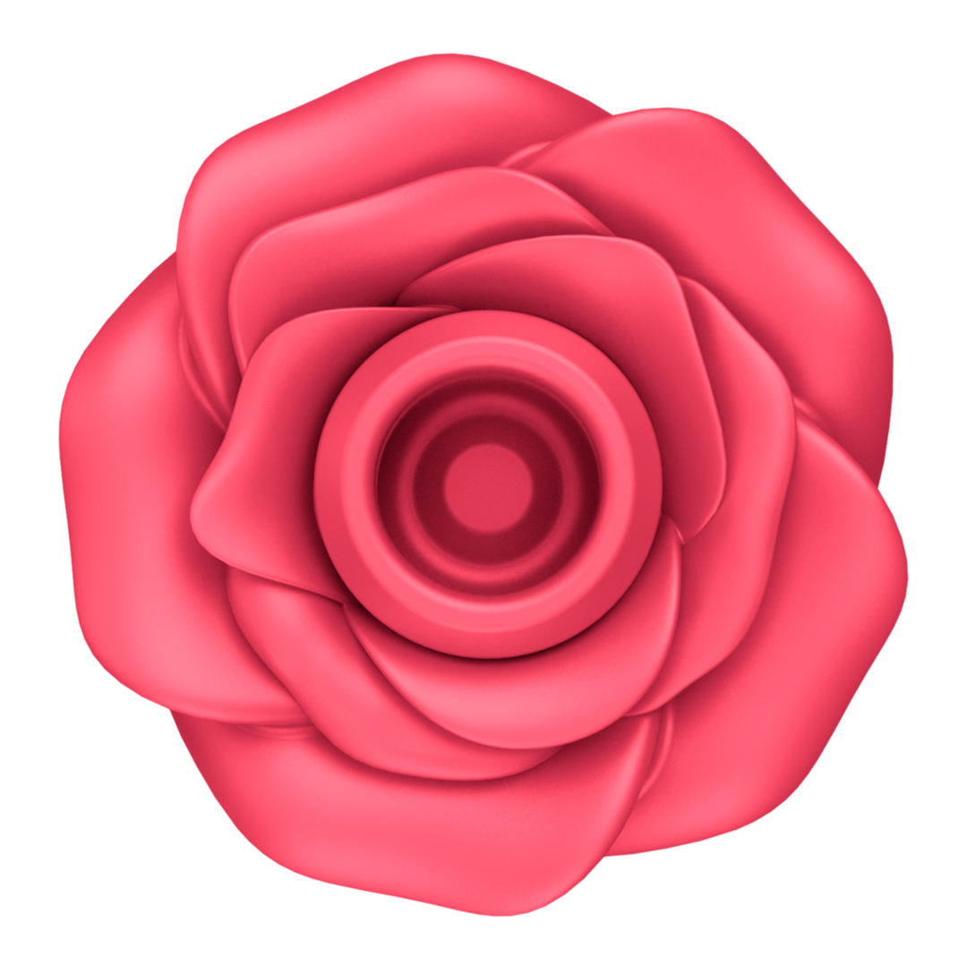 PRO 2 Classic Rose App-Steuerung