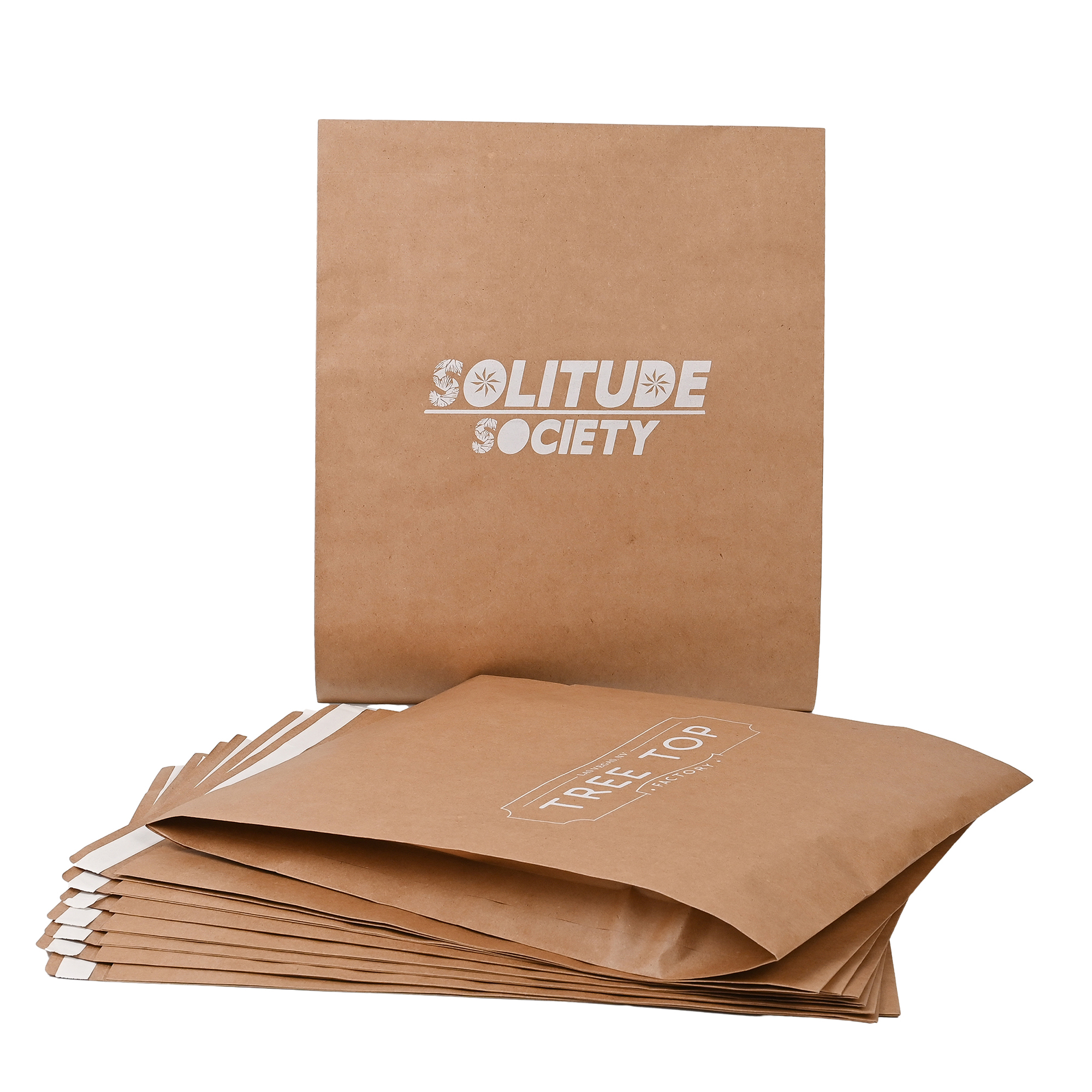 Printed Kraft Paper Express Shipping Mailer