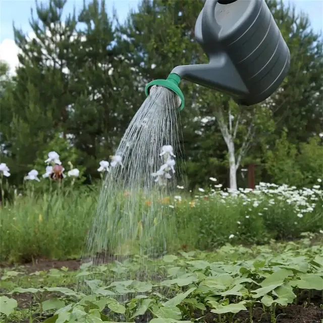 Watering Can Rose Head 4