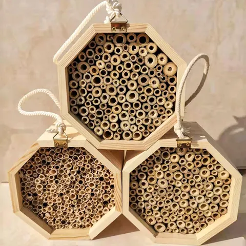 Beekeeping Hive Box
