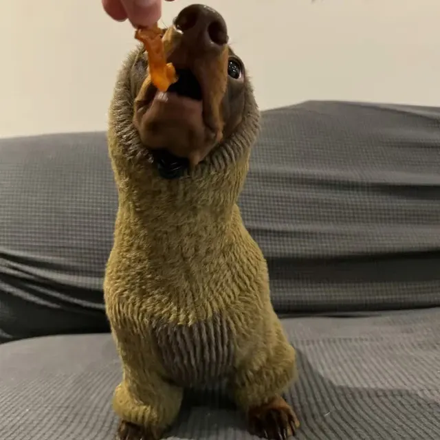 Hochwertiger Pullover mit Langen Ärmeln für Dackel-Hunde. Dicker 3