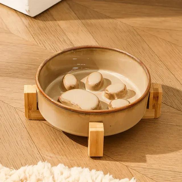Raised Slow Feeder Pet Bowl 2
