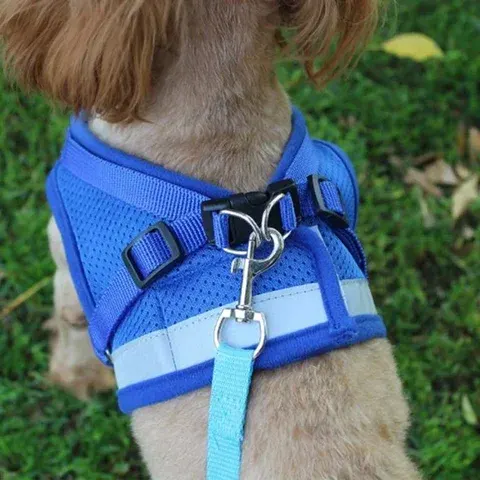 Hundegeschirr Weste