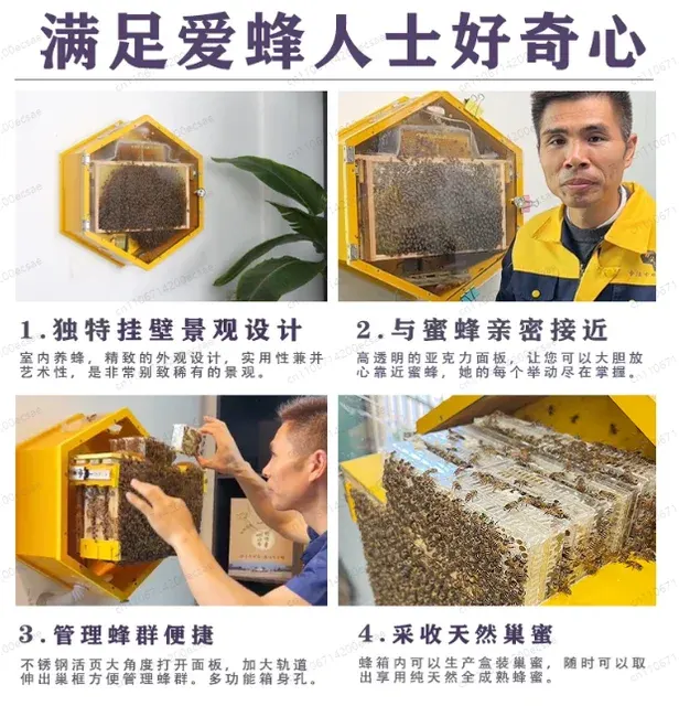 Indoor Beehive 4