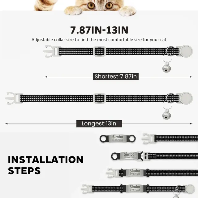 Personalized Cat Collar 2