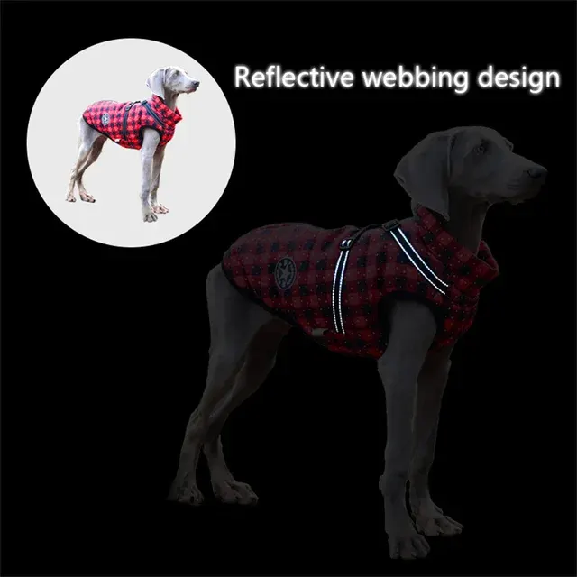 Winter Jacket for Dogs 4