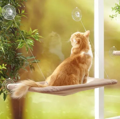 Pet Hanging Beds Cat Sunny Window Seat Mount