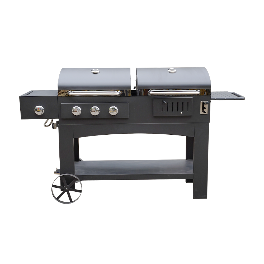 2-in-1-Grill 4